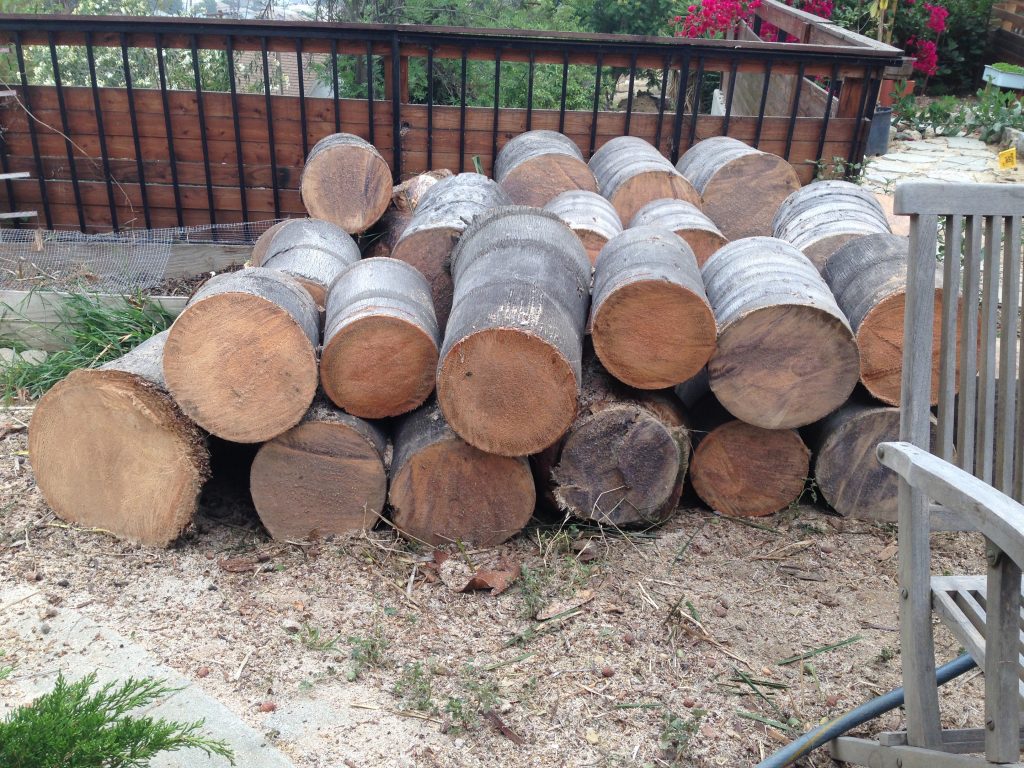 logs