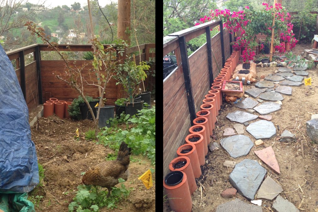 side garden before after